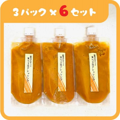 ■6ヶ月定期【🥕人参ドレッシング🥕】毎月(300g×3パック)お届け!送料無料!