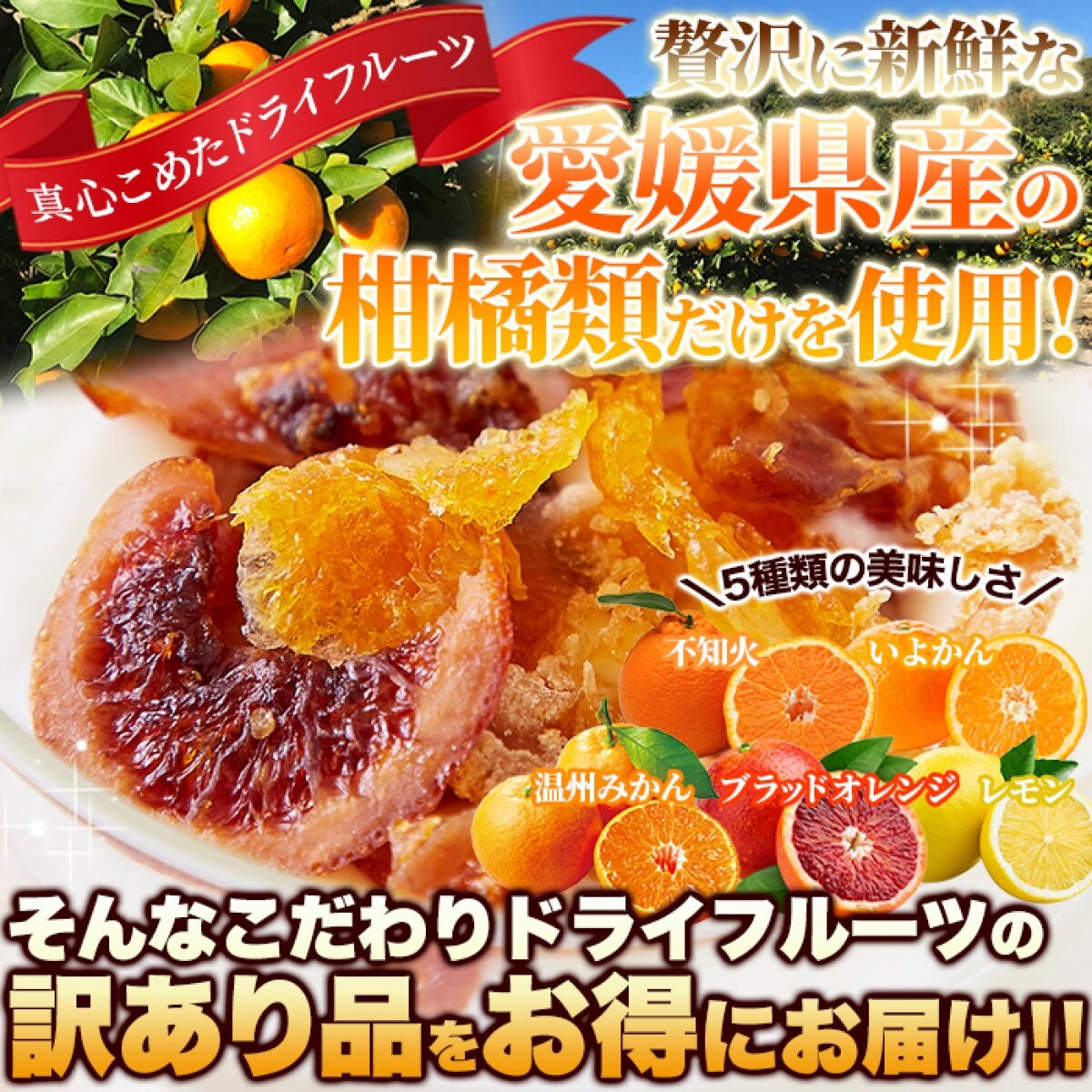 特集商品画像