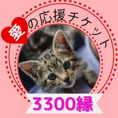 ♥愛の保護猫応援チケット♥　3300円