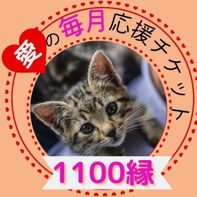 【定期購入】♥愛の保護猫応援チケット♥1100縁