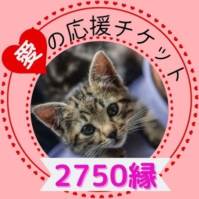 ♥愛の保護猫応援チケット♥　2750円