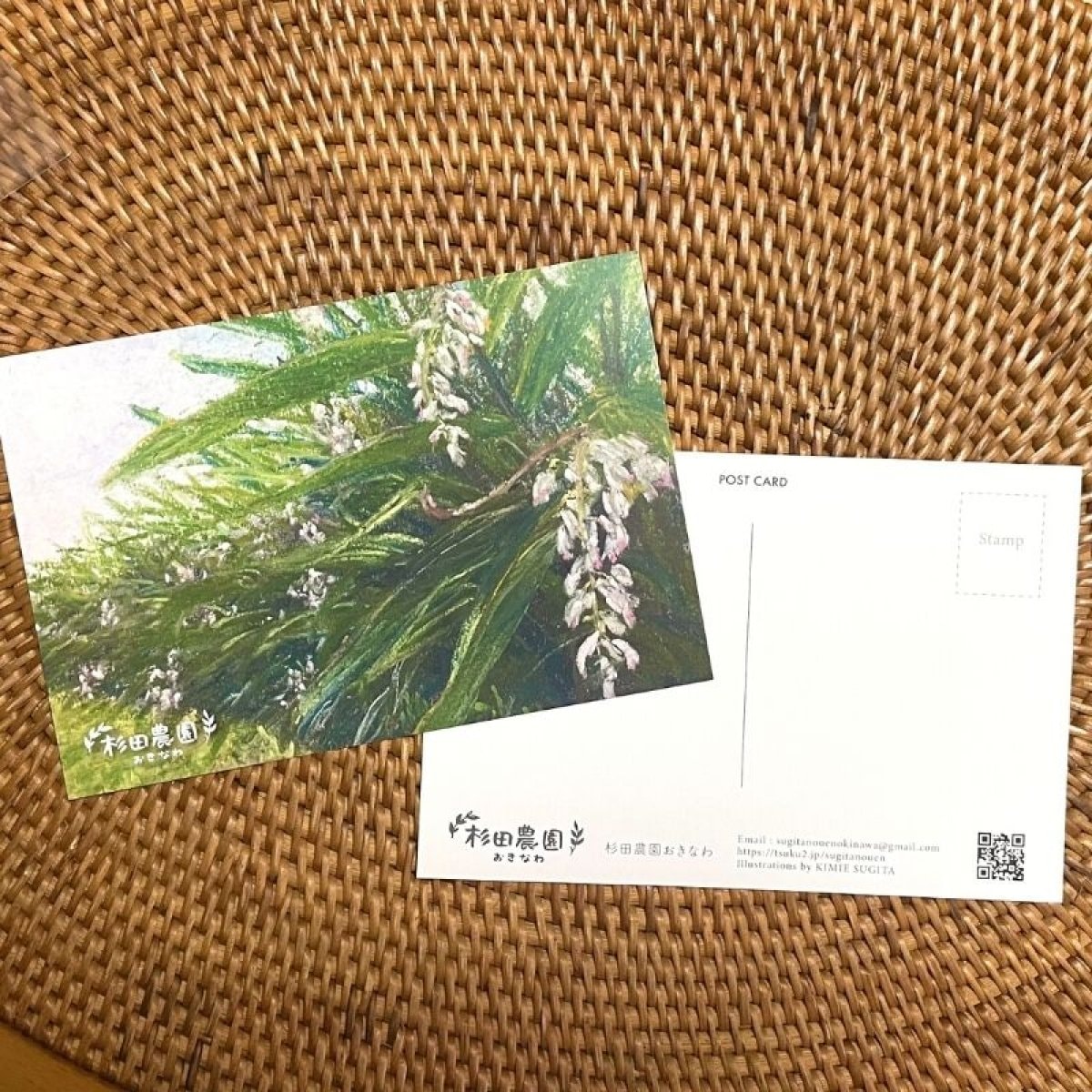 杉田農園おきなわ オリジナルポストカード