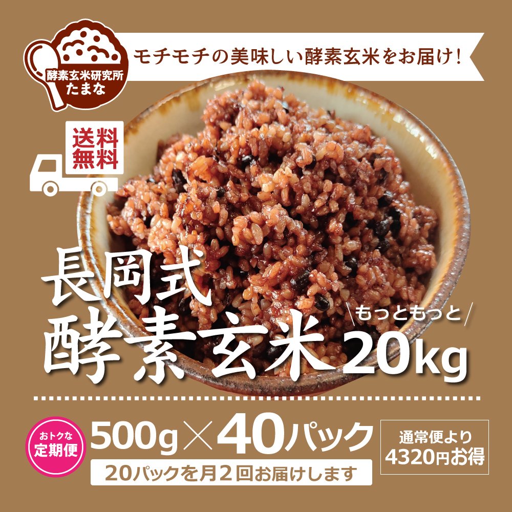 [定期便][送料無料]500g ×40パック長岡式酵素玄米