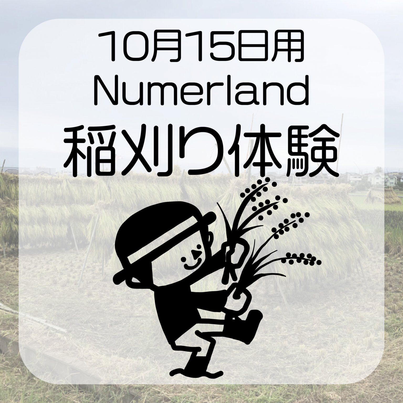 10月15日用　ヌマーランドの稲刈り　2022