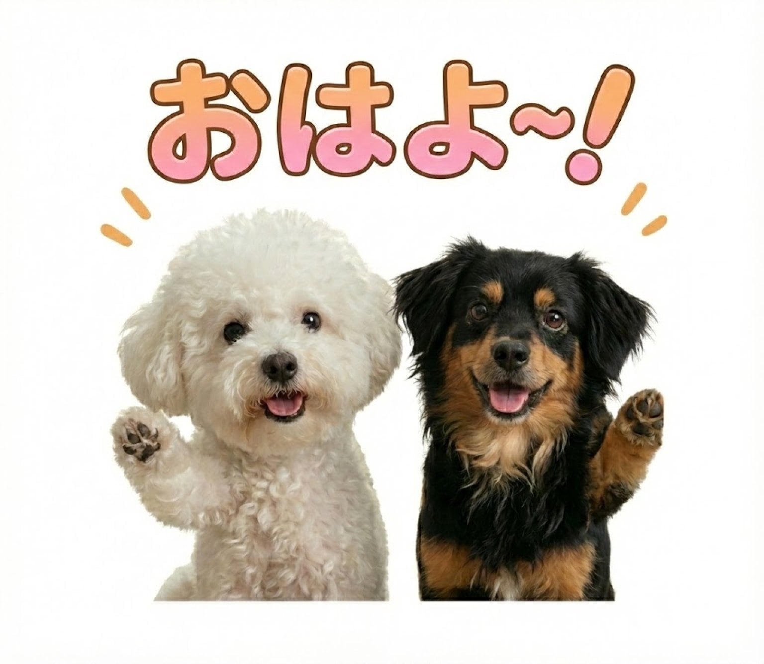 【先着10名限定】 うちの子LINEスタンプ制作モニターチケット