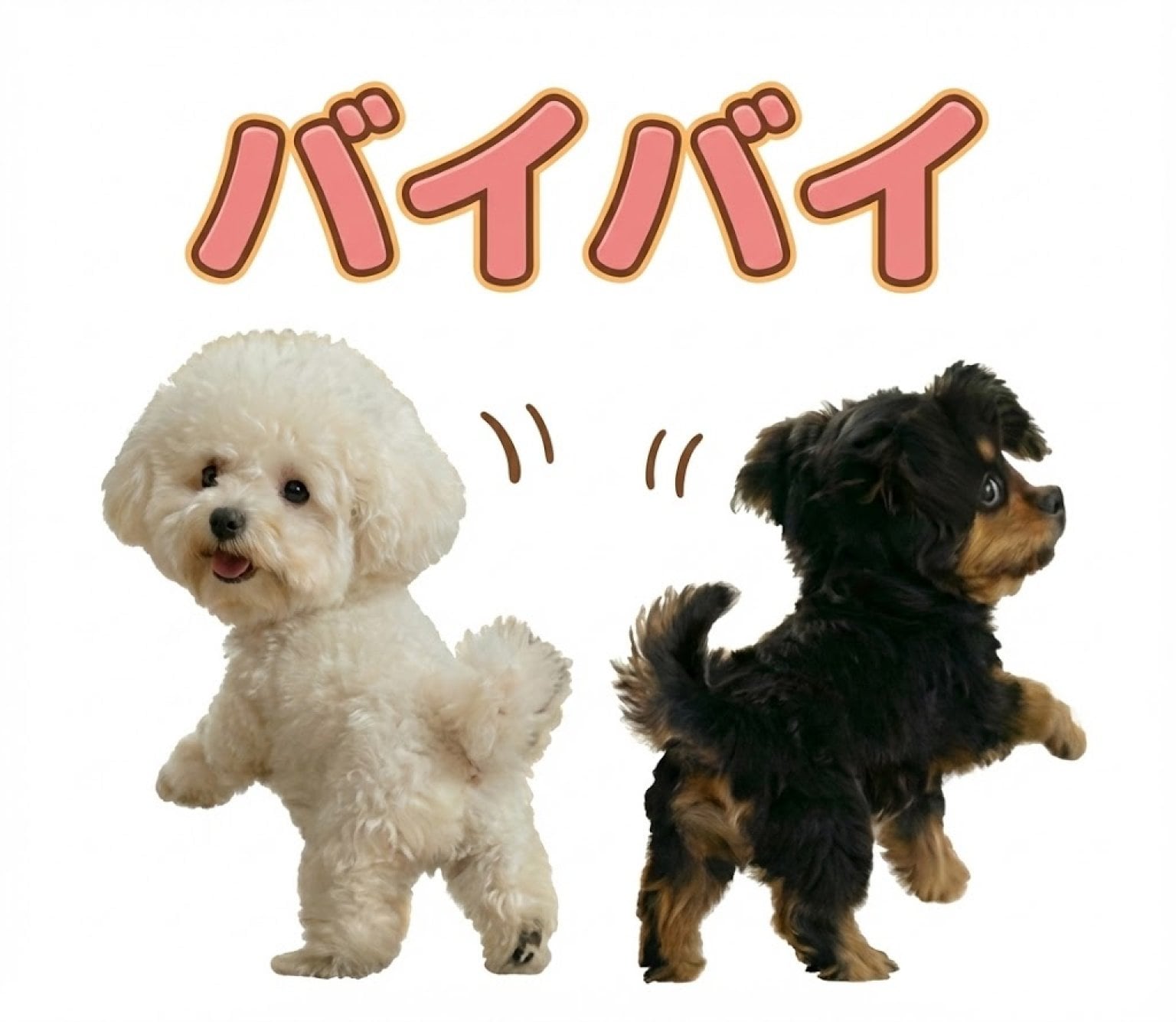 【先着10名限定】 うちの子LINEスタンプ制作モニターチケット