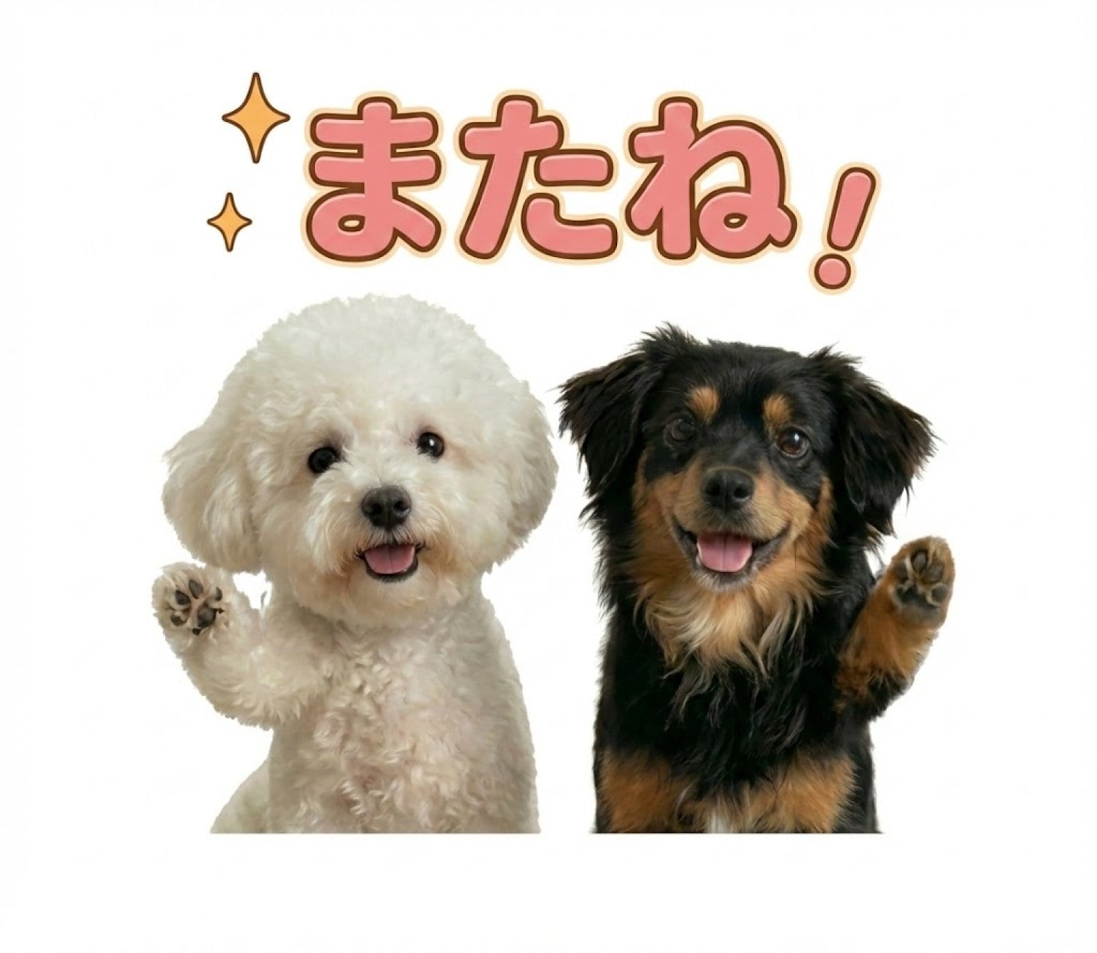 【先着10名限定】 うちの子LINEスタンプ制作モニターチケット