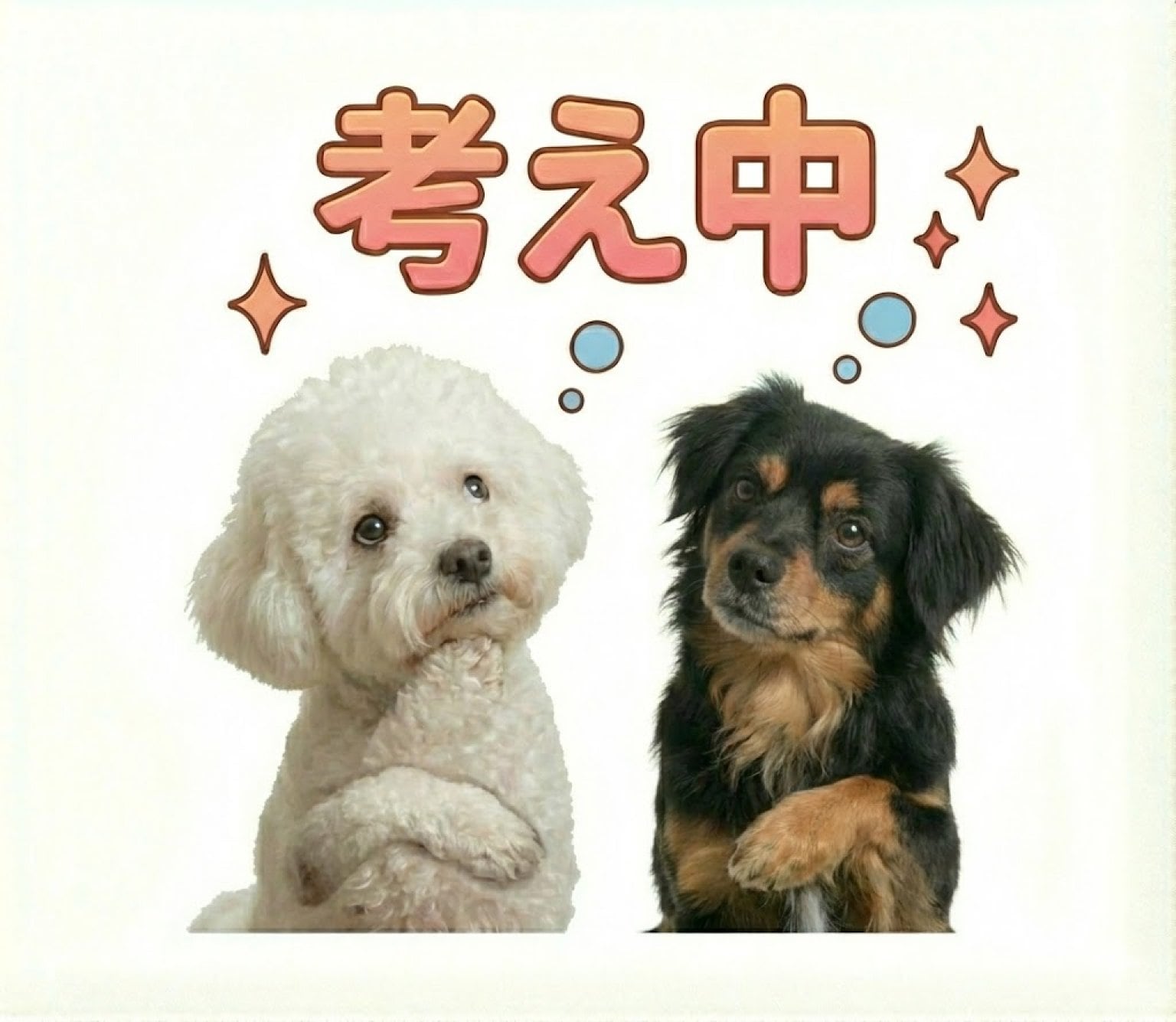 【先着10名限定】 うちの子LINEスタンプ制作モニターチケット