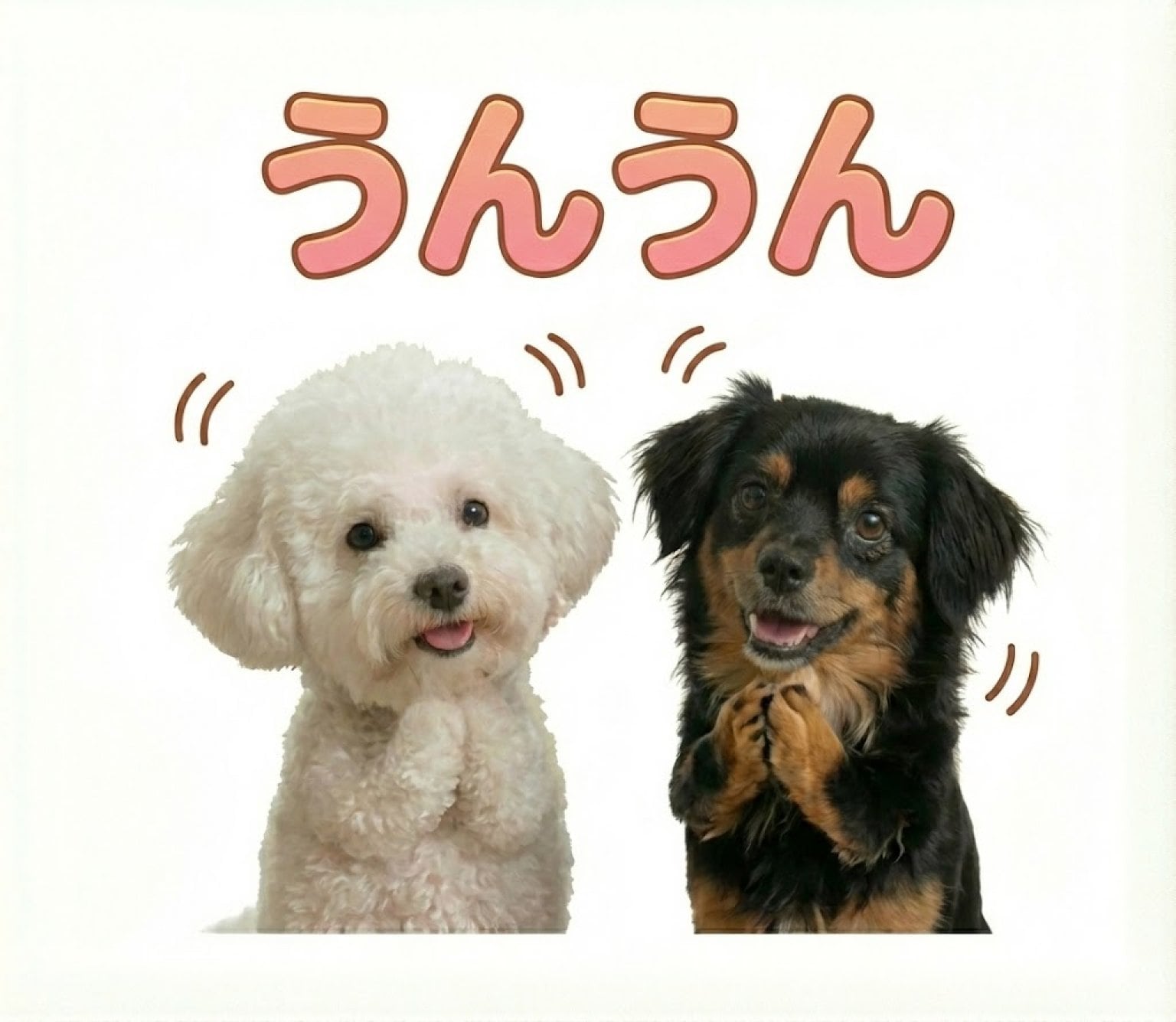 【先着10名限定】 うちの子LINEスタンプ制作モニターチケット