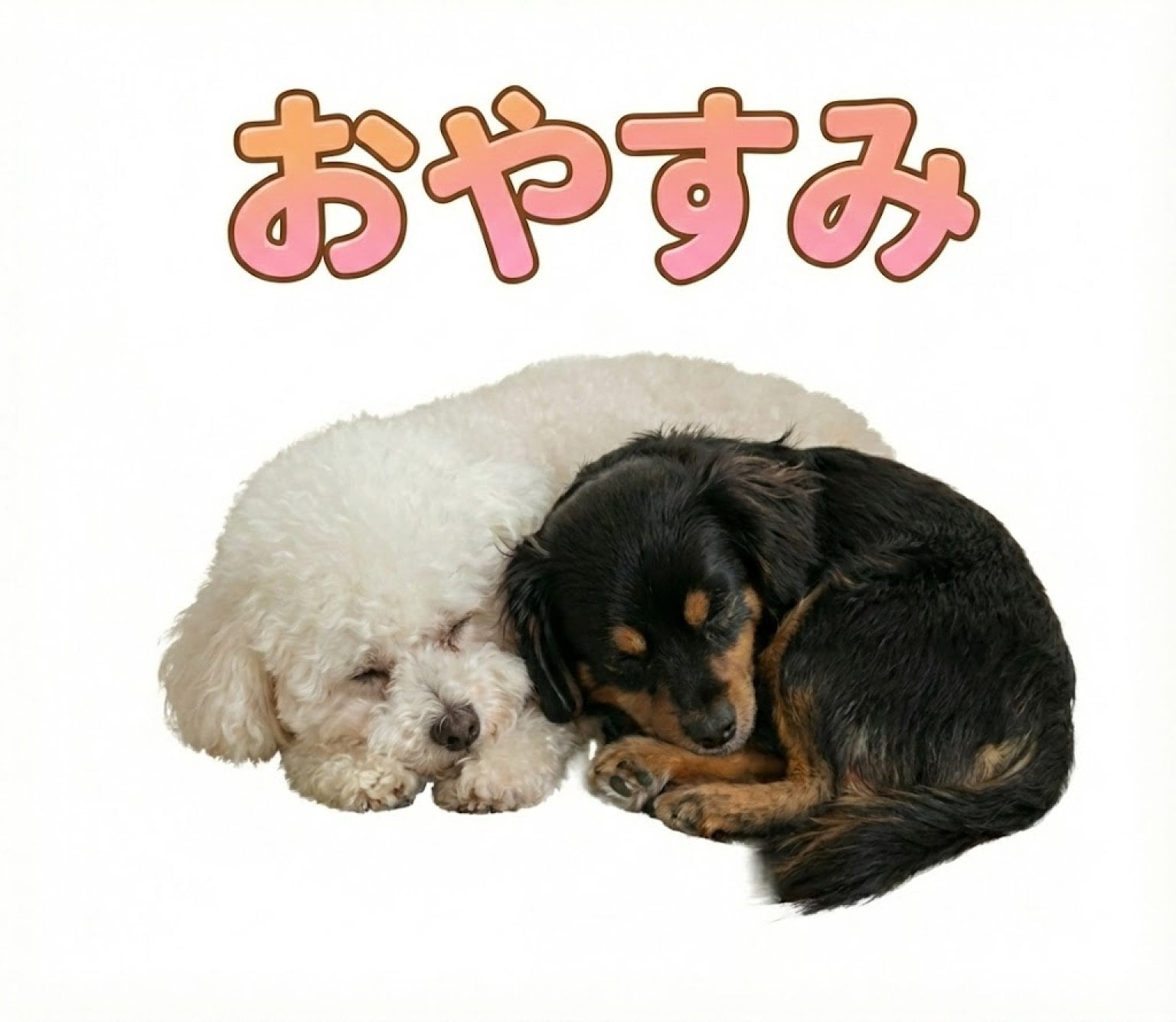 【先着10名限定】 うちの子LINEスタンプ制作モニターチケット