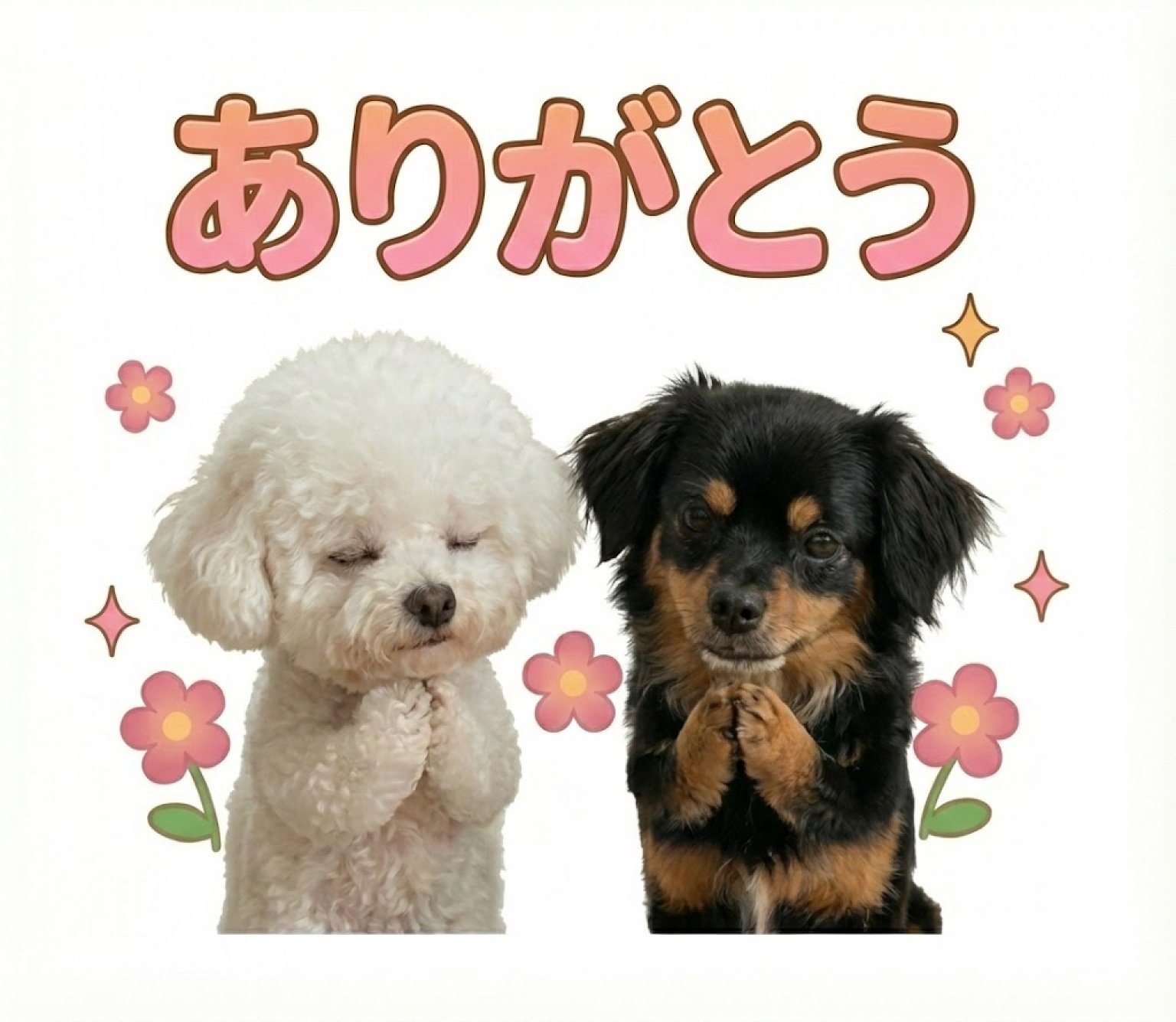 【先着10名限定】 うちの子LINEスタンプ制作モニターチケット