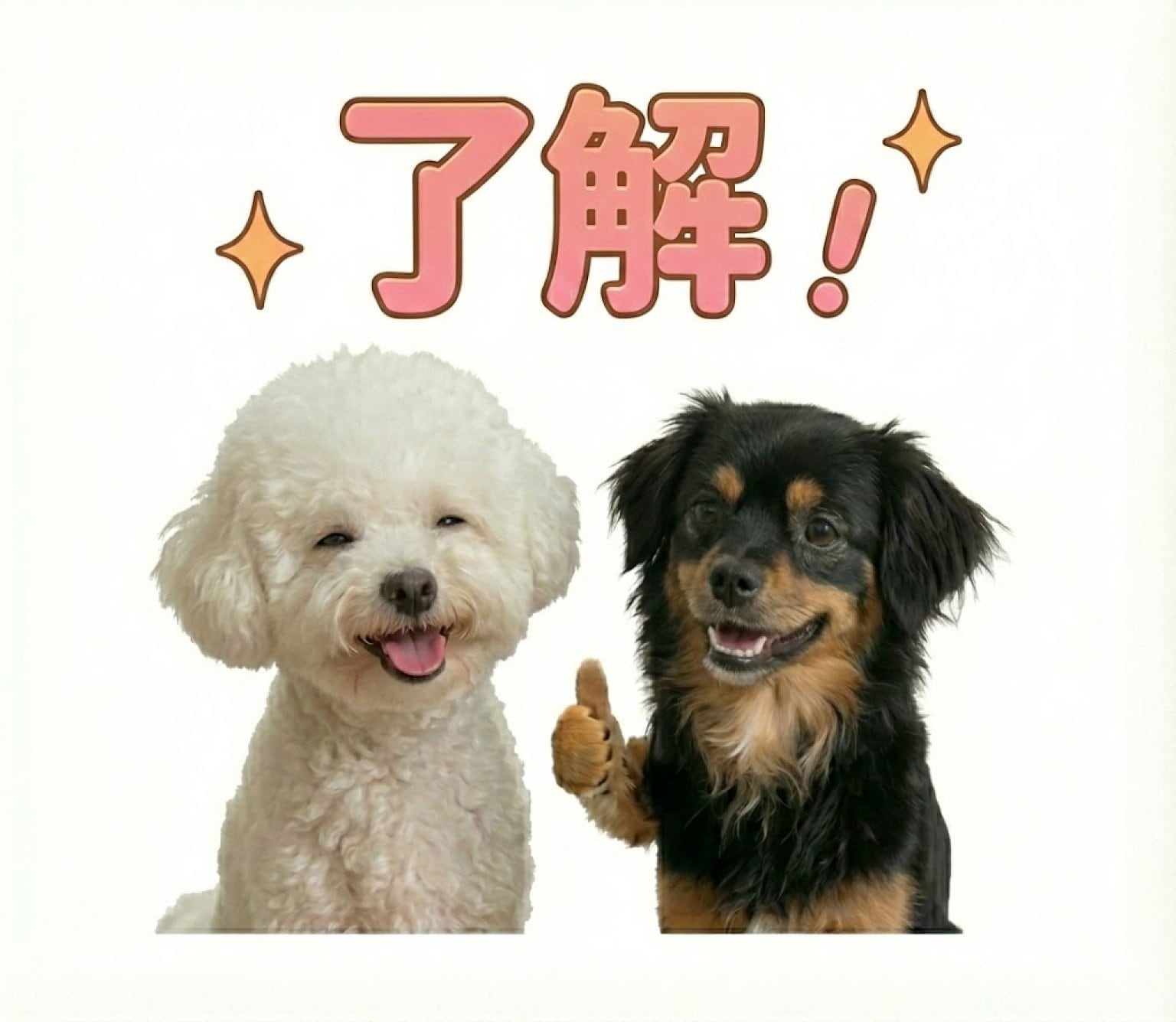 【先着10名限定】 うちの子LINEスタンプ制作モニターチケット