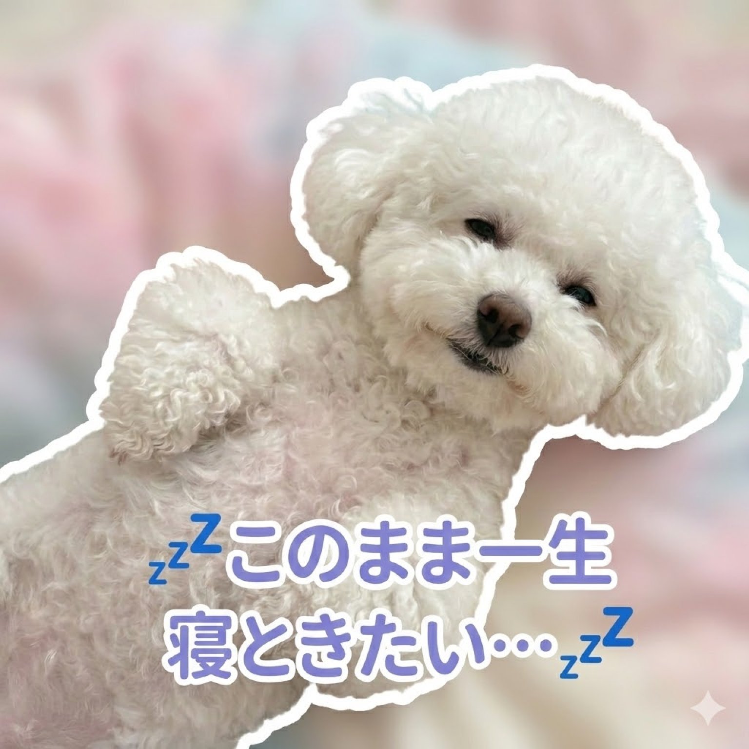 【先着10名限定】 うちの子LINEスタンプ制作モニターチケット