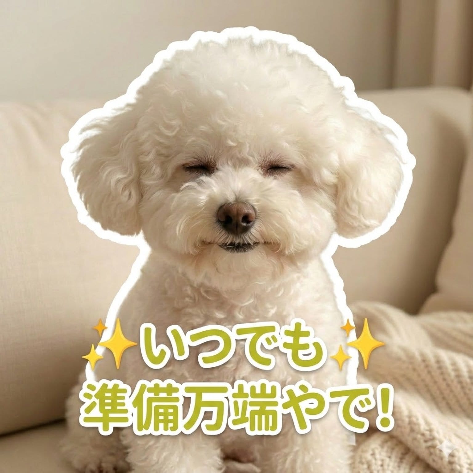 【先着10名限定】 うちの子LINEスタンプ制作モニターチケット