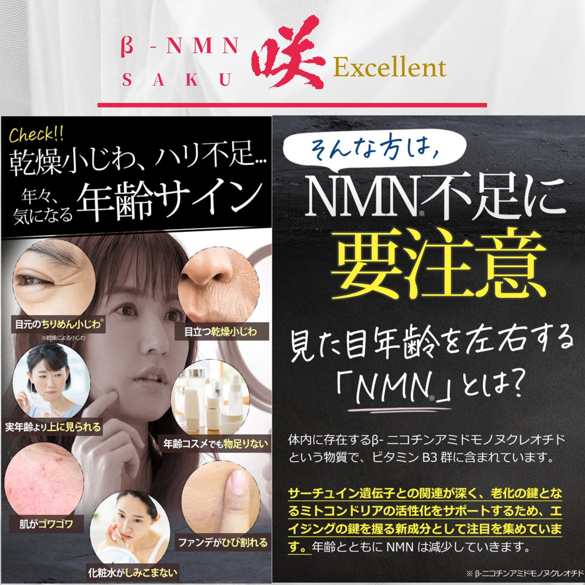 夢創りブランドNMN『咲』Excellent美容パウダー粉末NMN6000㎎配合 （1