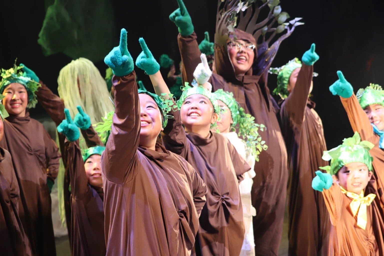 【12月20日開演】musical『TREEはTRUE』入場料チケット