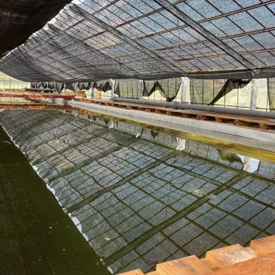 【地方創生】【SDGs】「畑でエビ養殖」のSeaside Consulting代表による講演