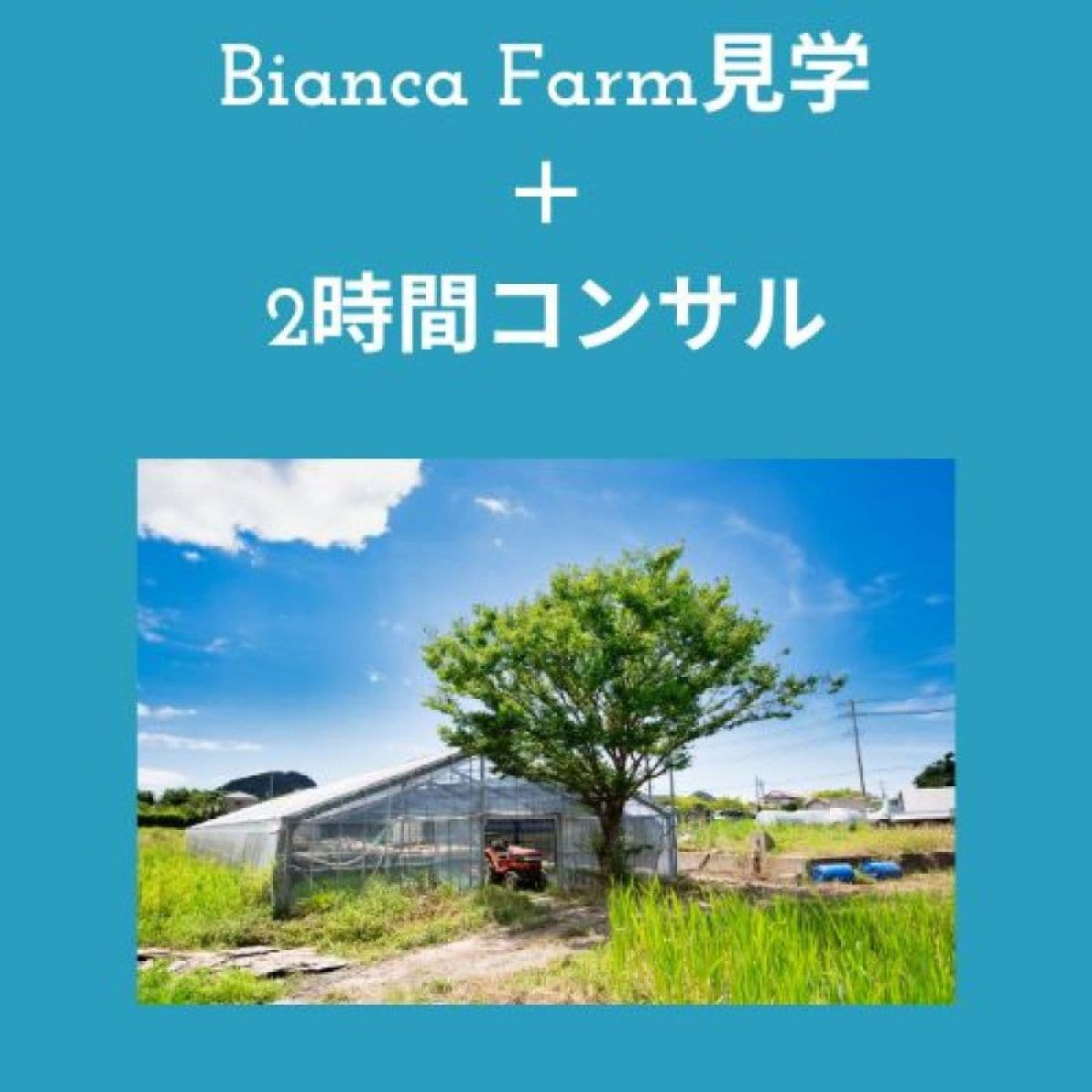 Bianca Farm見学　＋ 2時間　陸上養殖コンサルティング　Bianca Farm tour ＋ 2hour consulting about regarding land-based aquaculture  Japanese and English