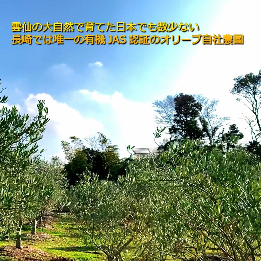 エクストラバージンオリーブオイル25g(有機JAS認証オリーブ葉使用)