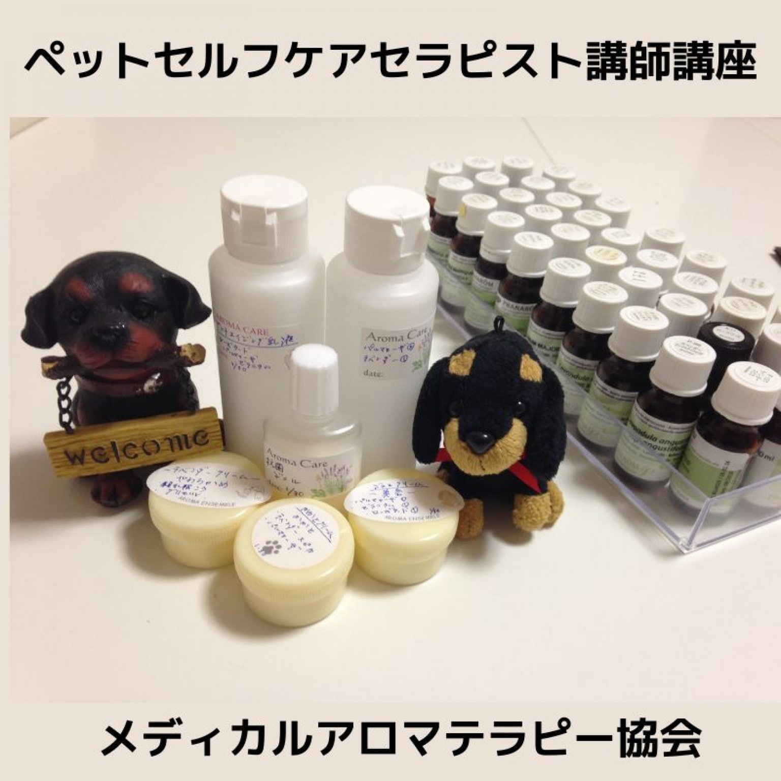 ペットセルフケアセラピスト講師講座