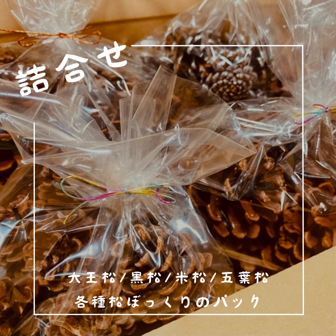 松ぼっくり詰合わせ BOX/80サイズ/国産無農薬