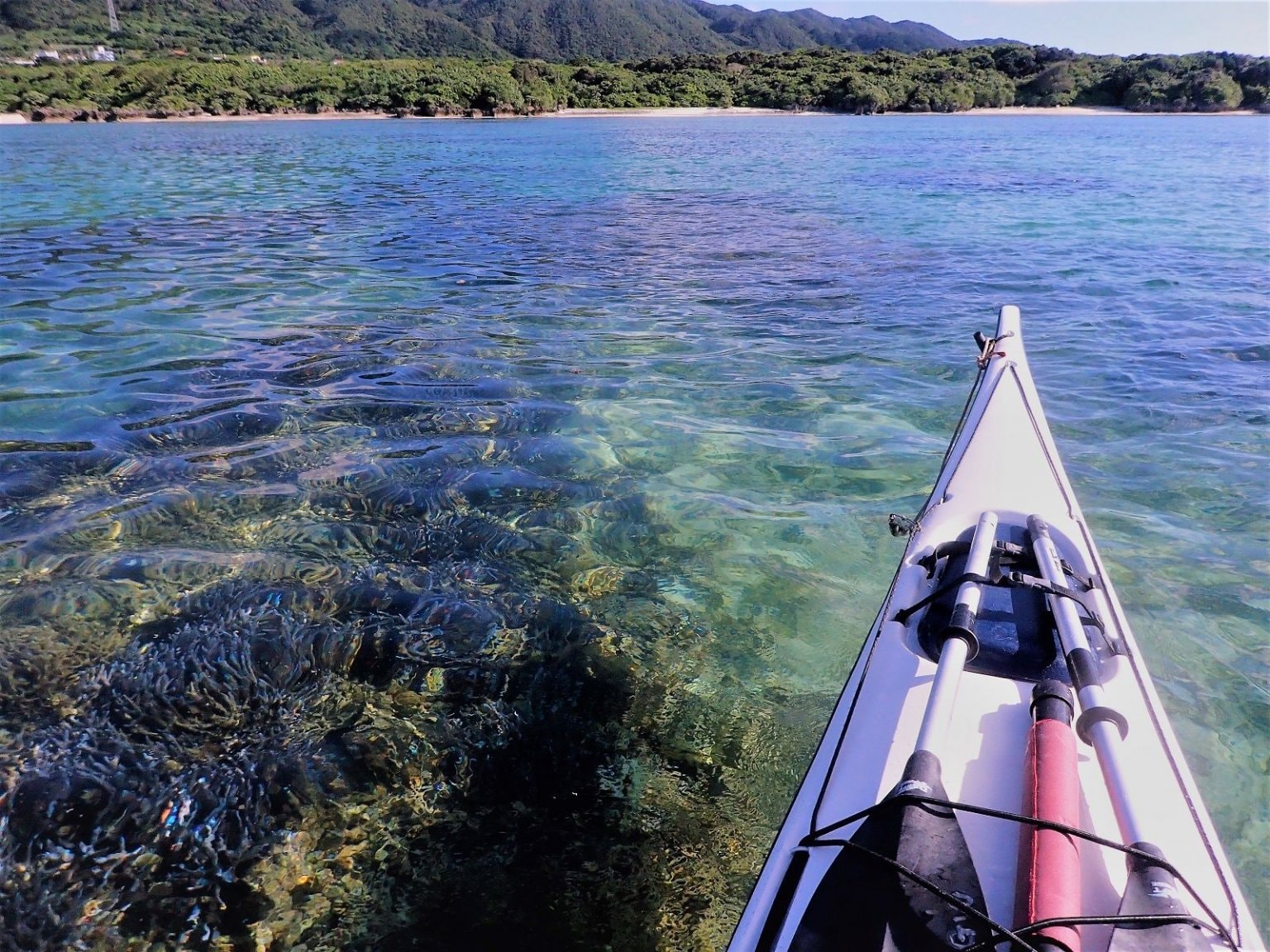 石垣島の秘境名所を巡る旅貸切ツアー