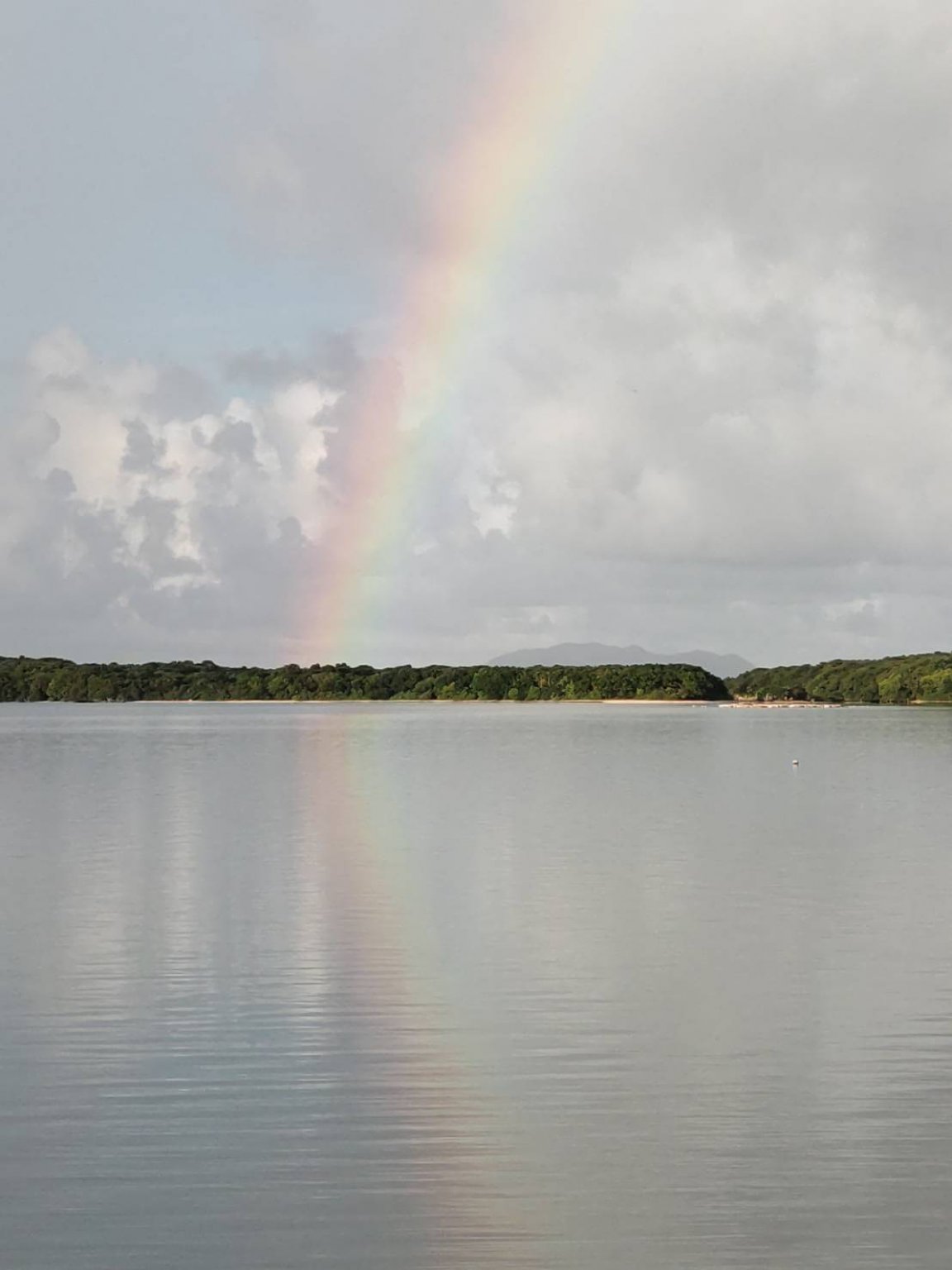 石垣島の秘境名所を巡る旅貸切ツアー