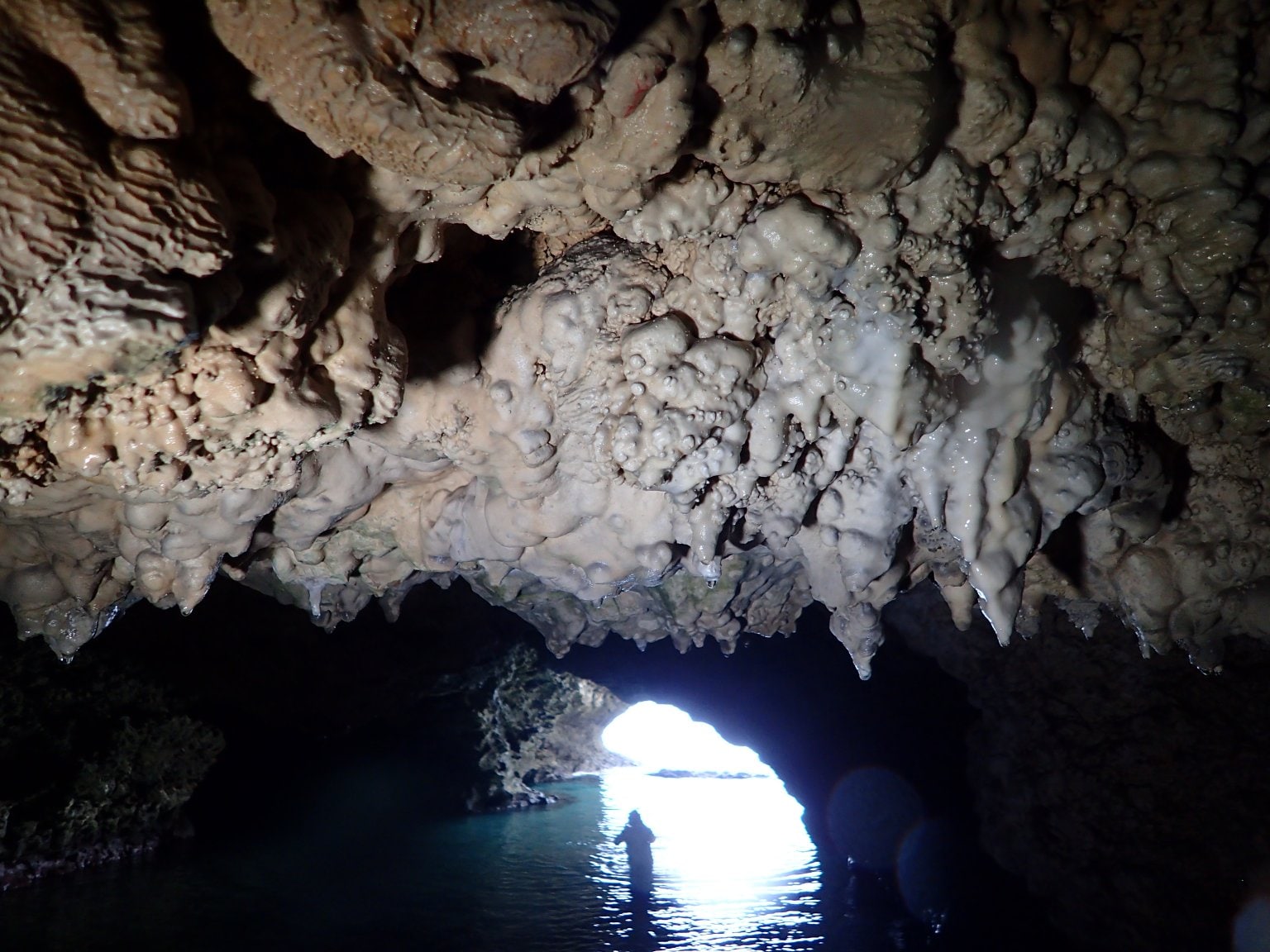 石垣島の秘境名所を巡る旅貸切ツアー