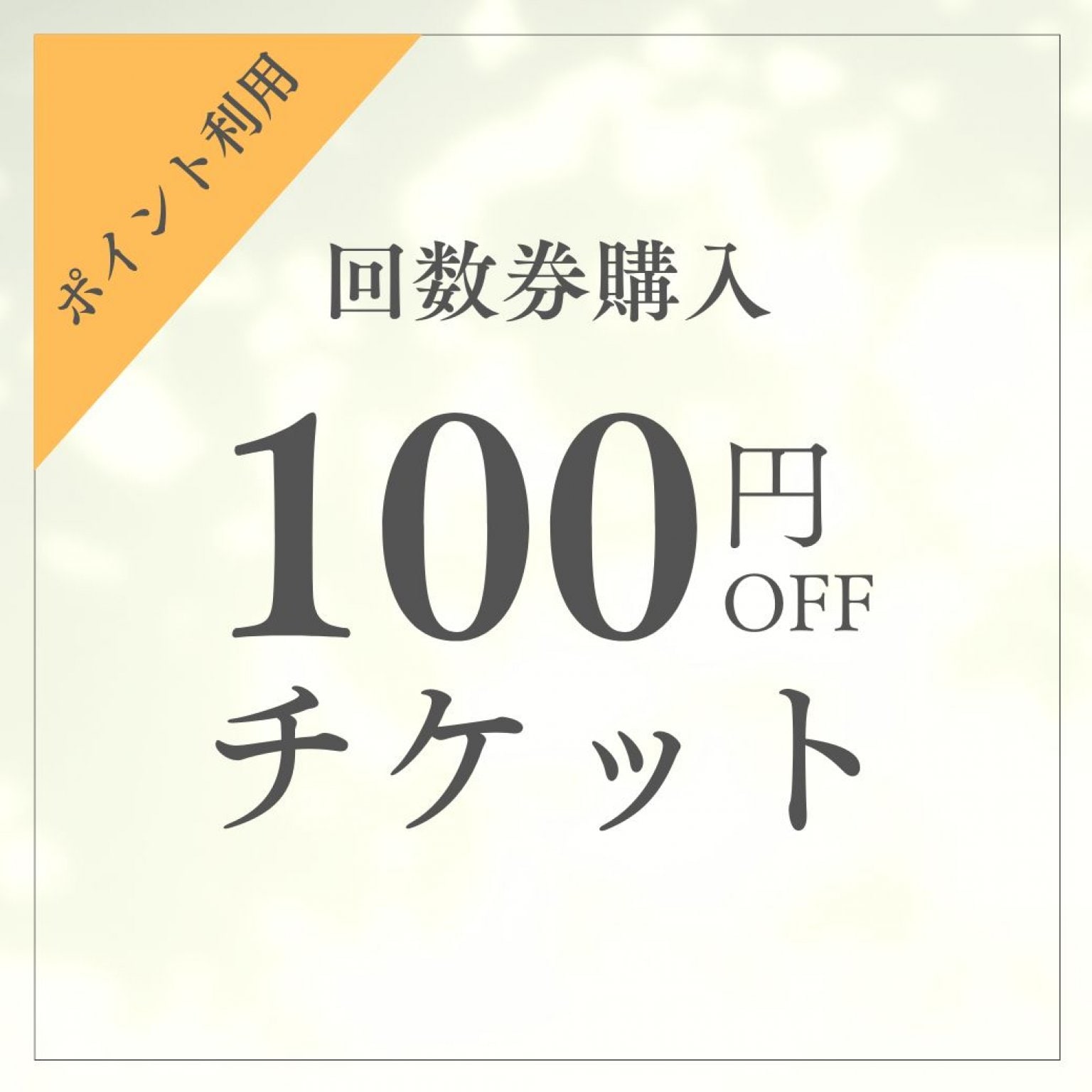 回数券　100円引きチケット