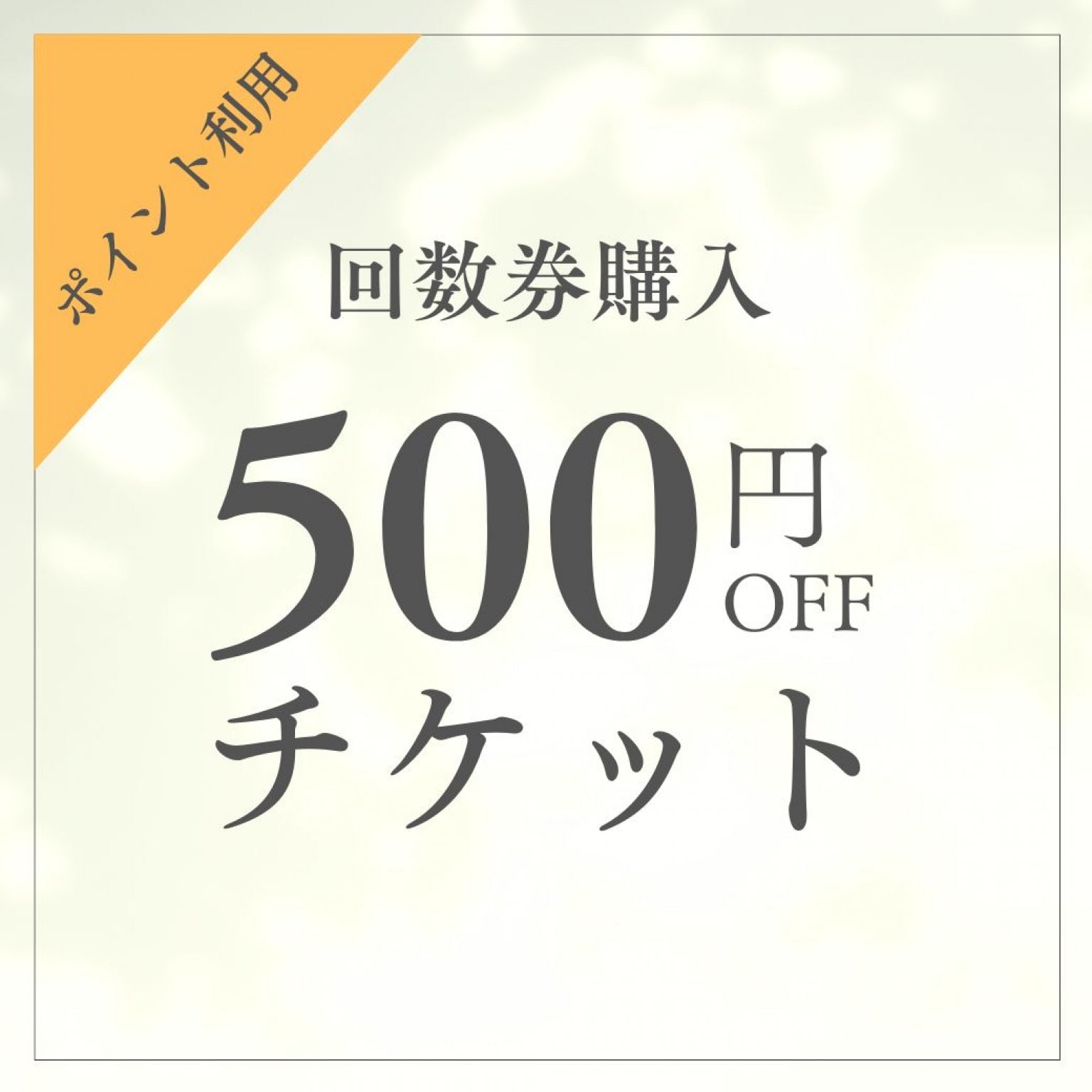 回数券　500円引きチケット