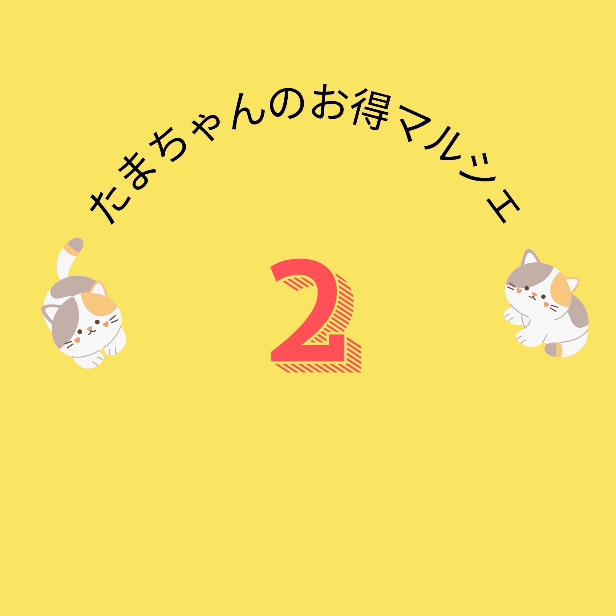 たまちゃんのお得マルシェ専用カート【出品 ナンバー2】送料無料/沖縄産、鮮度を閉じ込めた至福の肉厚トビイカの天日干し【3パックセット/1パック250〜300ｇ】