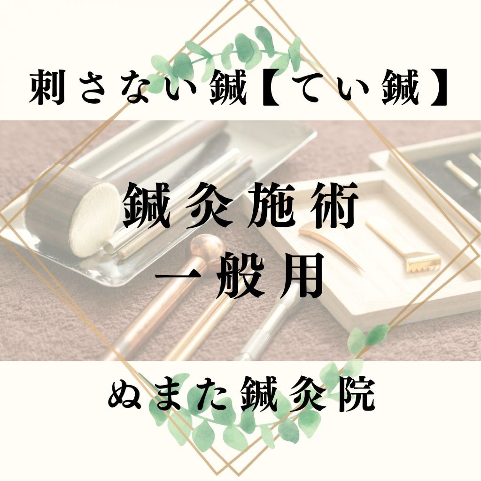 一般用　鍼灸施術チケット　ぬまた鍼灸院