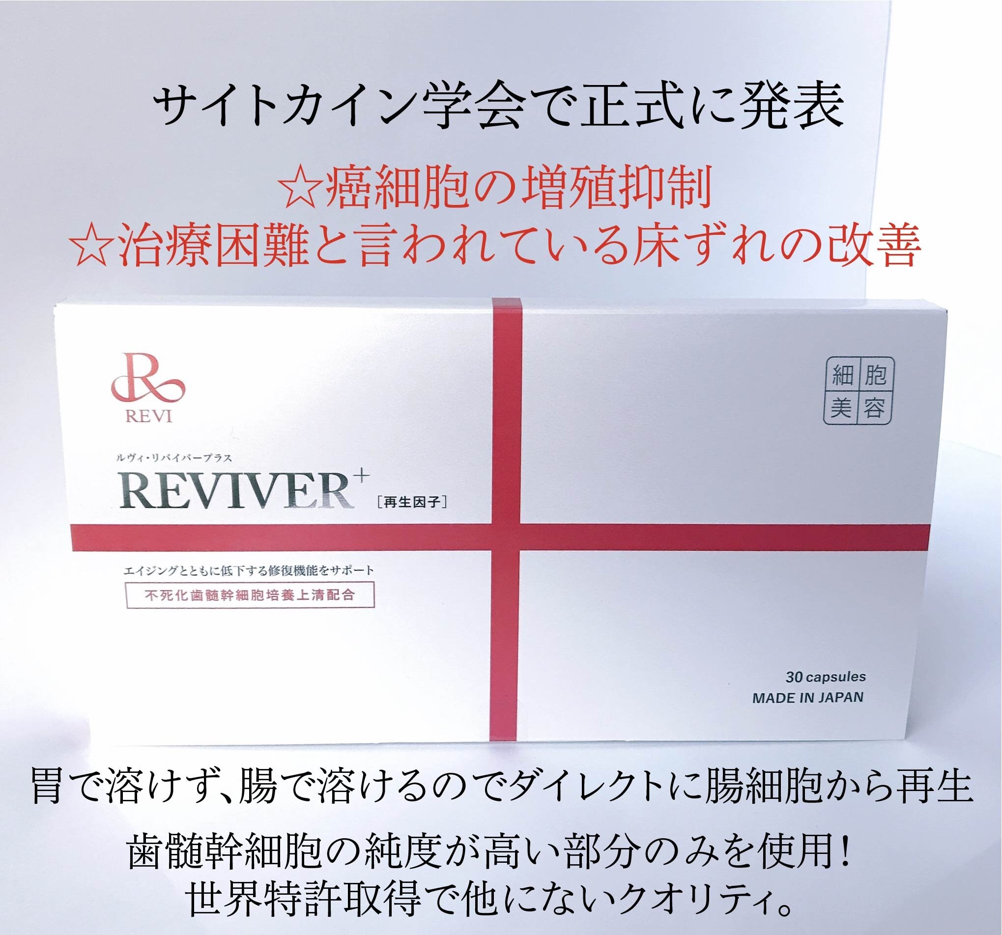 REVI リヴァイバープラス　60粒 健康用品 その他 コスメ・香水・美容 【SALE／60%OFF】