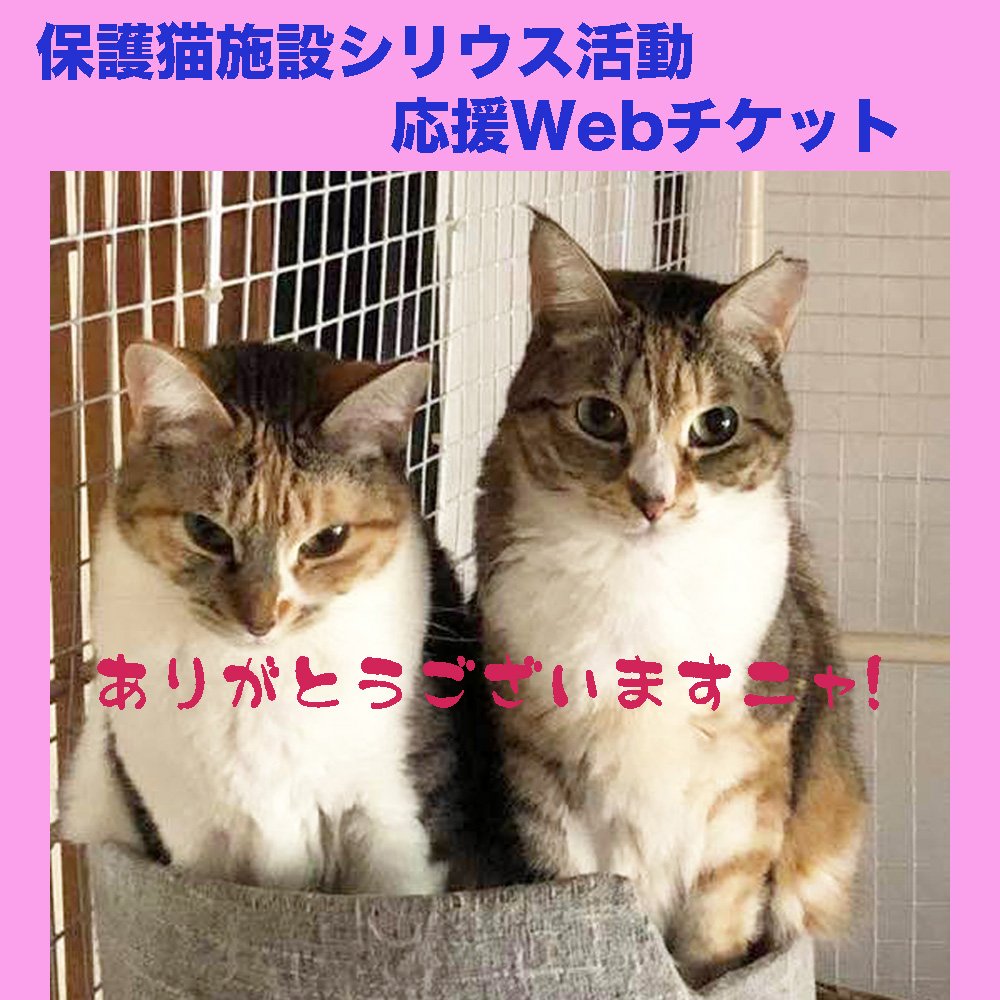 猫保護活動応援チケット沙羅双樹（さらそうじゅ）  ツクツク 