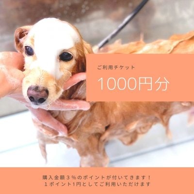 ご利用チケット1000円分