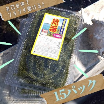 海ぶどう100g 15パック たれ付き
