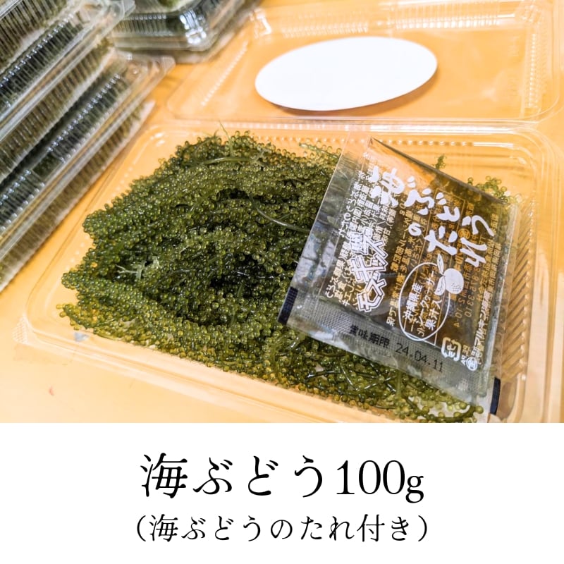 ☆沖縄産☆ 生海ぶどう 100g （沖縄県産 海ぶどう（春〜初夏の