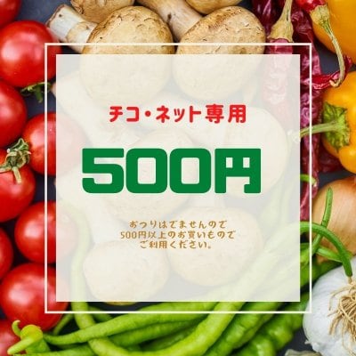 ショッピング金券【500円】チコ・ネットでの新鮮野菜などのお買い物で利用いただけます《現地払い専用》
