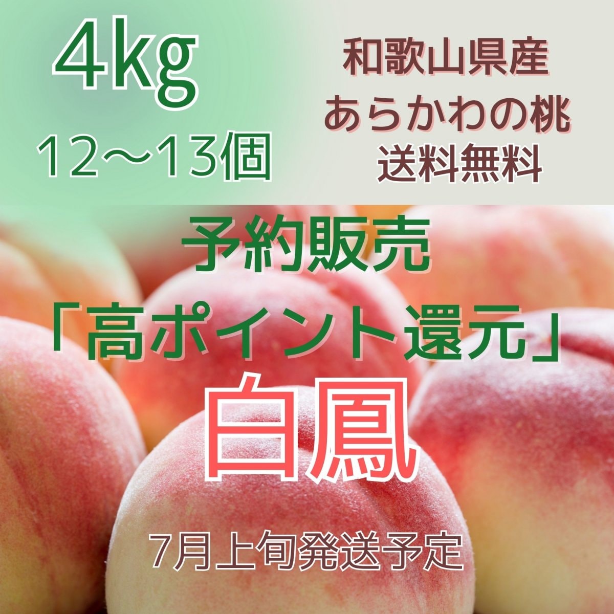 【6月1日予約販売開始】白鳳 和歌山県産あらかわの桃〜7月上旬