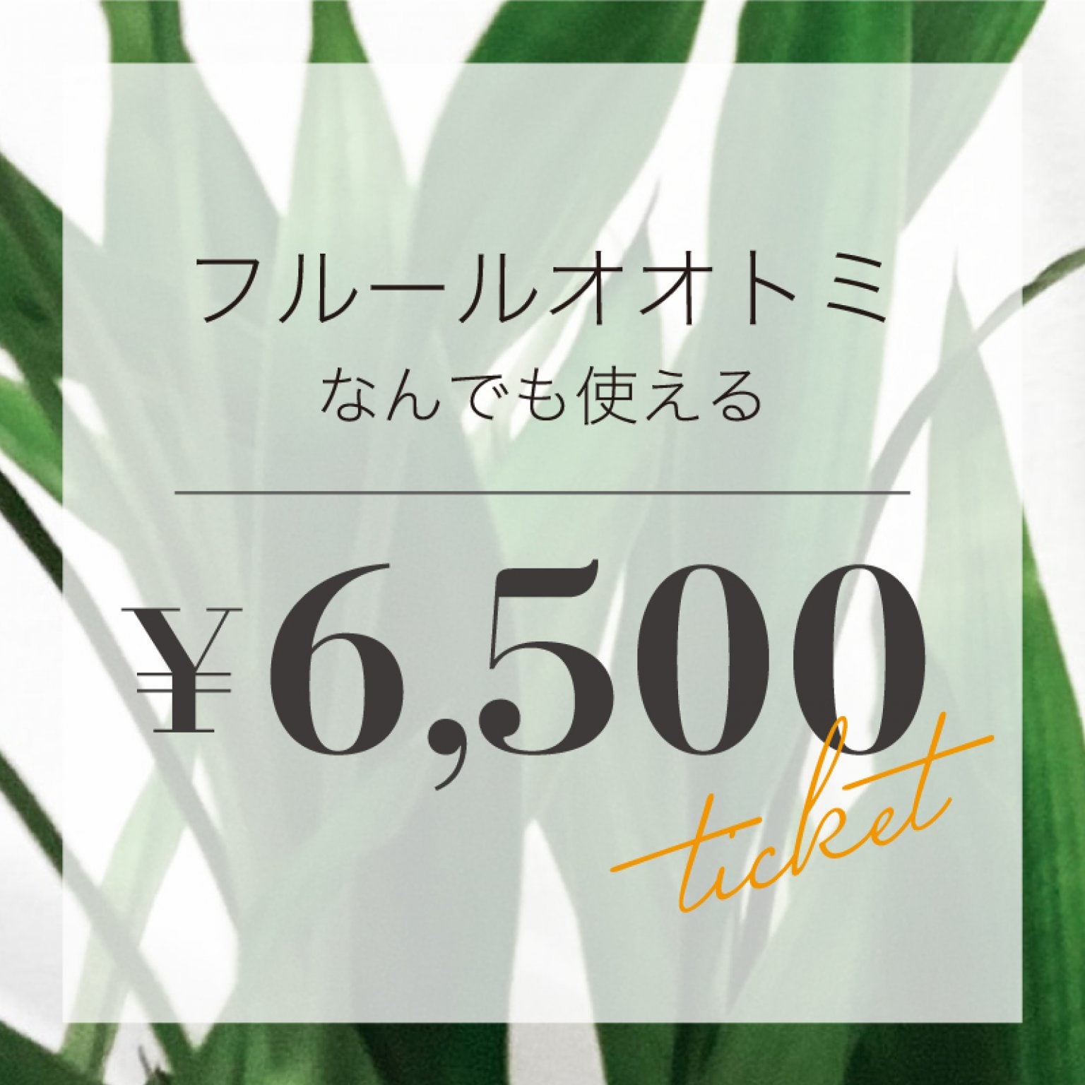 フルールオオトミのなんでも使えるチケット　¥6,500（税込）