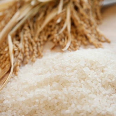 減農薬 蒜山米 あきたこまち 5kg 白米 令和３年産