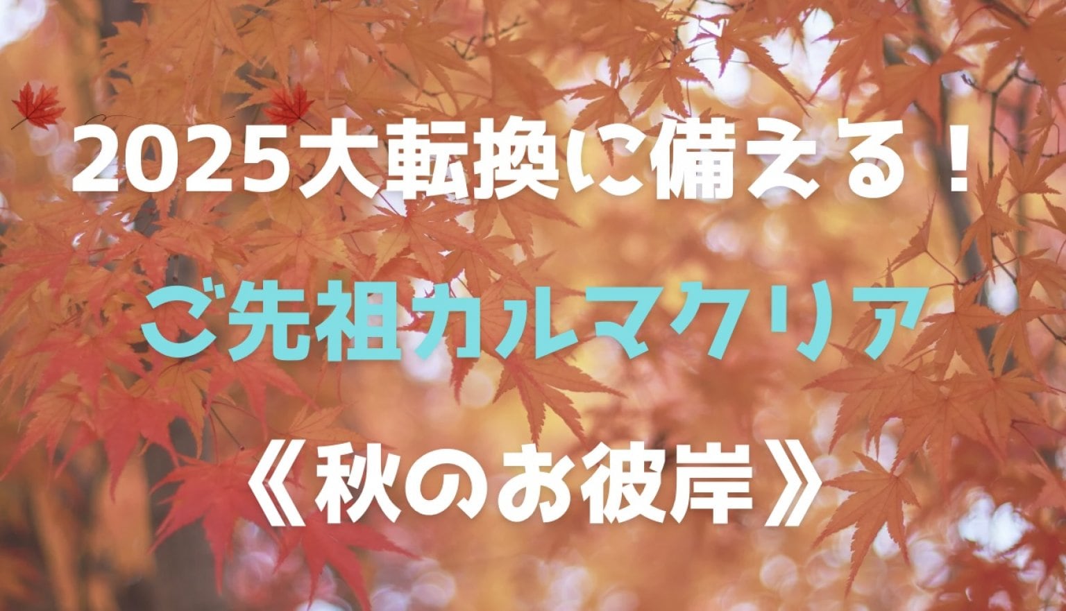[T様用]2025大転換に備える！ご先祖カルマクリア《秋のお彼岸》/分割/遠隔/魂磨き師　松乃宮龍峰