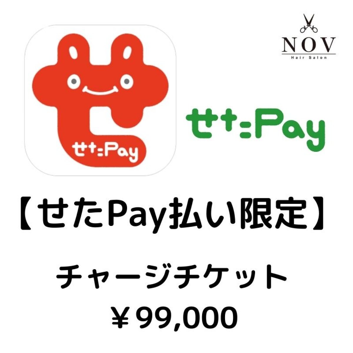 【現地せたPay払い限定】チャージチケット ￥99,000