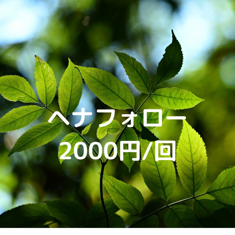 nature(ネイチャー)ヘナフォロー2000円/回ウェブチケット