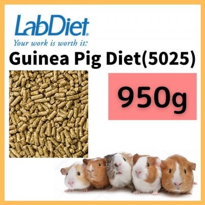 LabDiet ギニアピッグダイエット 950ｇ / モルモットフード / ペットフード / 小動物用品