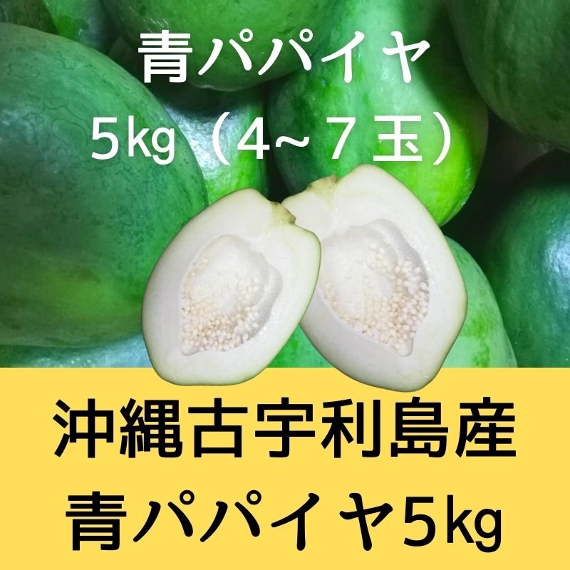 沖縄野菜】青パパイヤ4㎏※3〜7玉