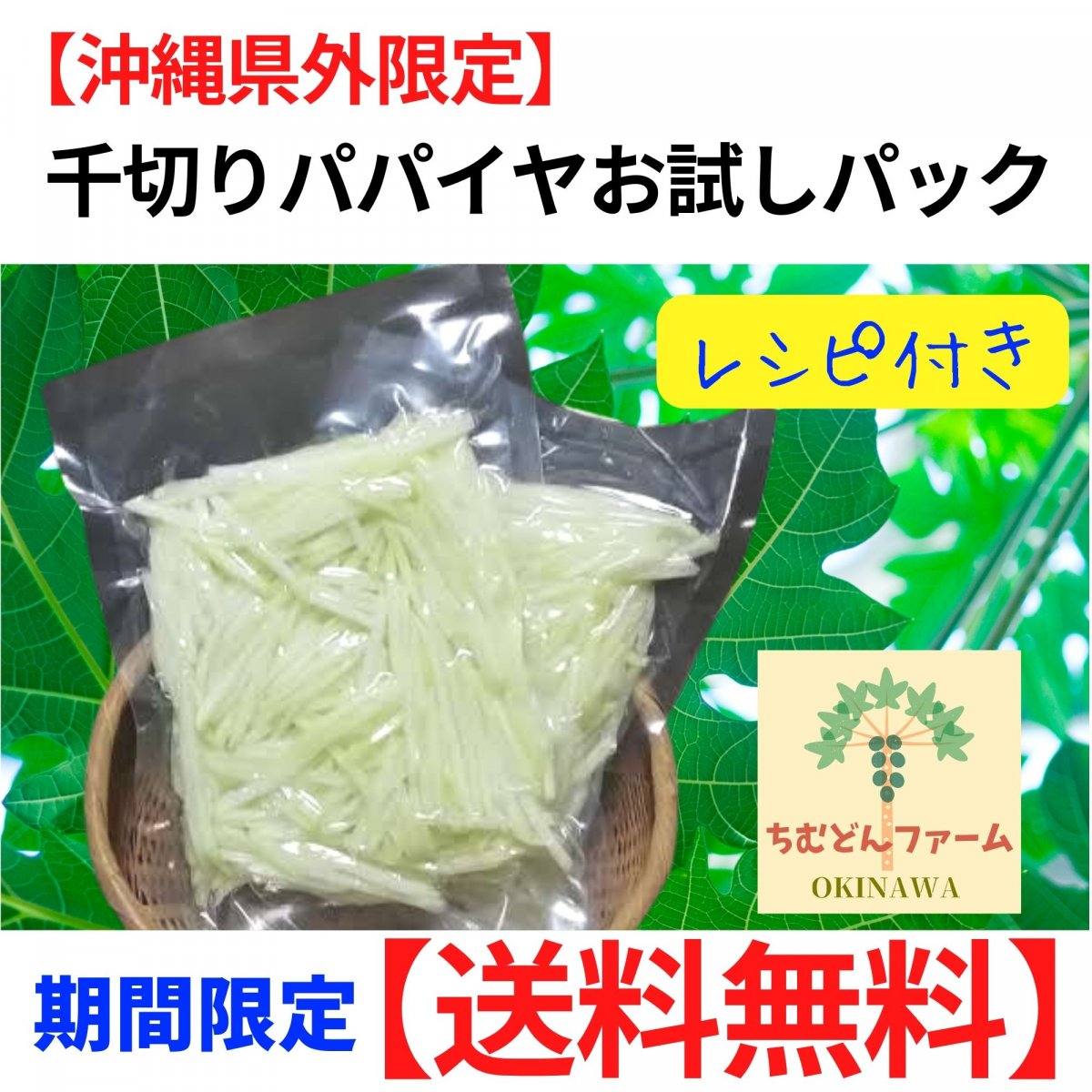 パパイヤ茎 パパイヤスティック 無農薬