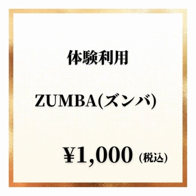 【体験チケット】ZUNBAご利用券 / 1回分