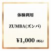 【体験チケット】ZUNBAご利用券 / 1回分