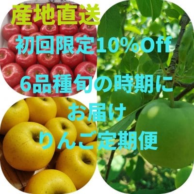 【初回限定10%OFF予約販売】りんご6品種お届け定期便